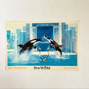 Vintage VTG Sea World Shamu Show Spectacular Orlando Florida USA Postcard 1986